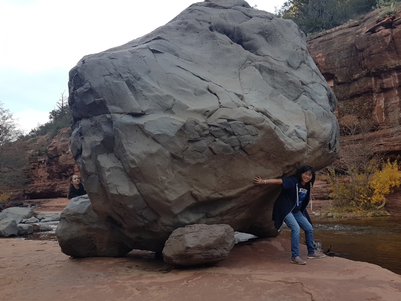 Apple的第一张照片--南阳相亲服务中心