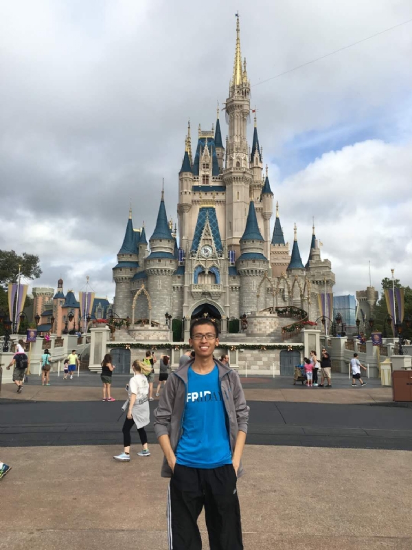 太阳花的第一张照片--南阳相亲服务中心