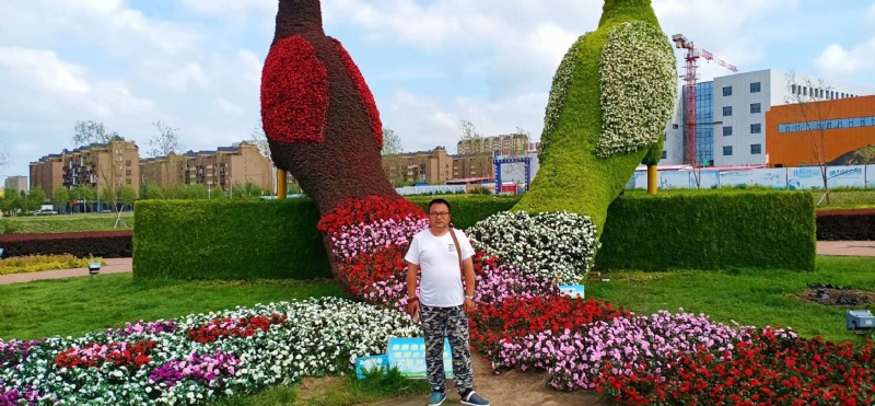 尘埃的第一张照片--南阳相亲服务中心