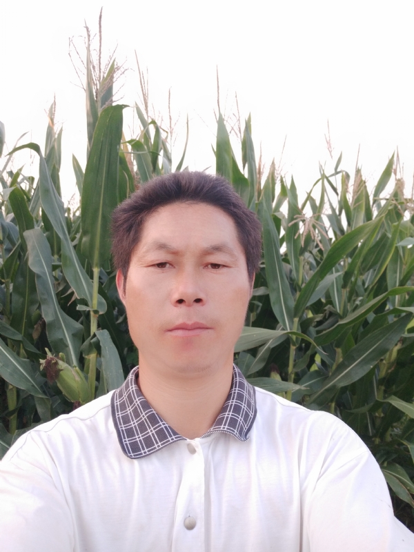 四海游龙的第二张照片--南阳相亲服务中心