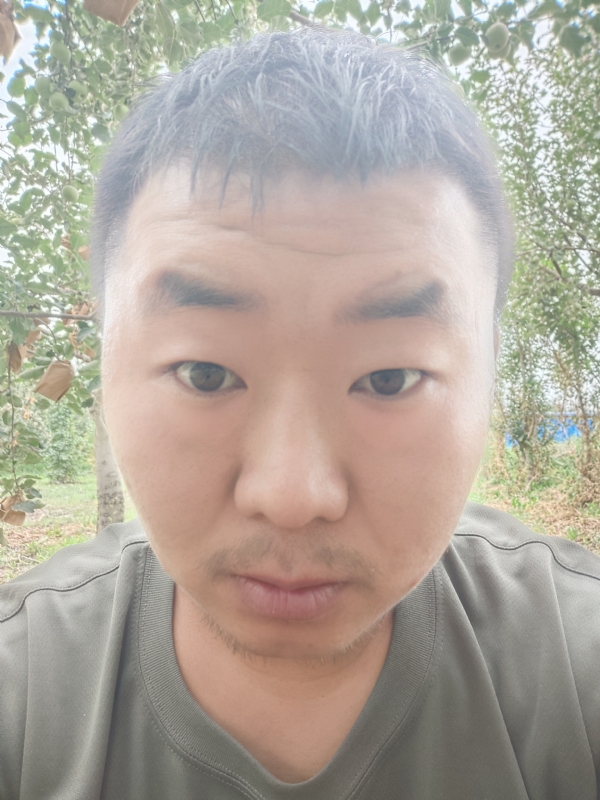 明天的第一张照片--南阳相亲服务中心