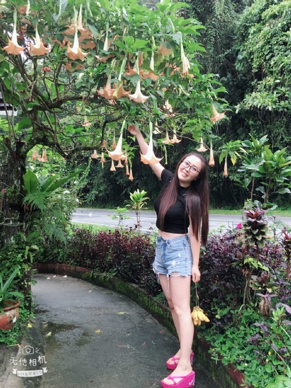 离异单身无子的第二张照片--南阳相亲服务中心