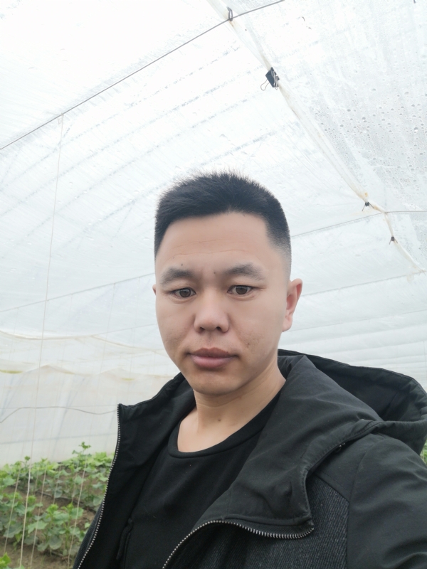 宇成的第一张照片--南阳相亲服务中心