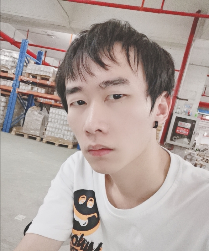 巷子里的猫的第一张照片--南阳相亲服务中心