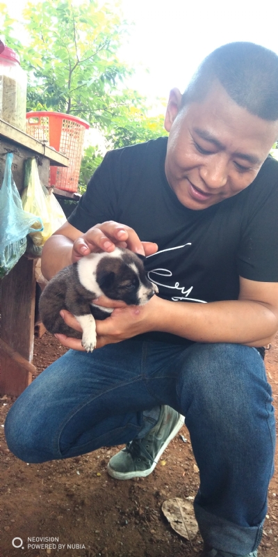 深圳相亲的第一张照片--南阳相亲服务中心