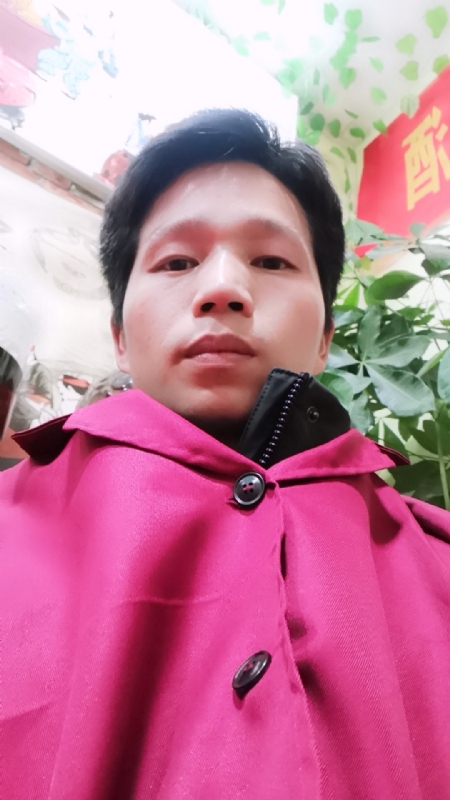 单身的林凡的第一张照片--南阳相亲服务中心