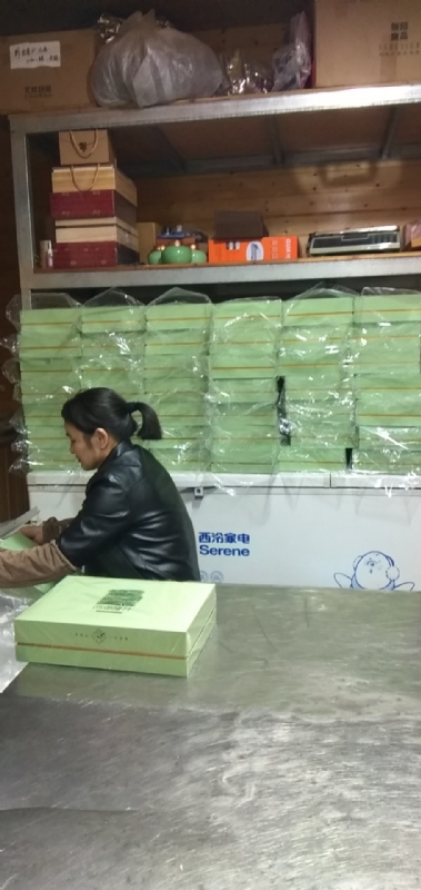 梅花朵儿的第一张照片--南阳相亲服务中心