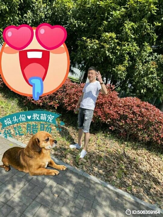 我若不坚强谁替我勇敢的第五张照片--南阳相亲服务中心