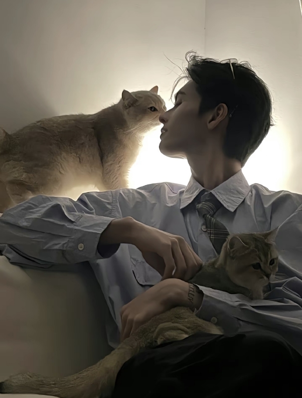 怪猫的第一张照片--南阳相亲服务中心