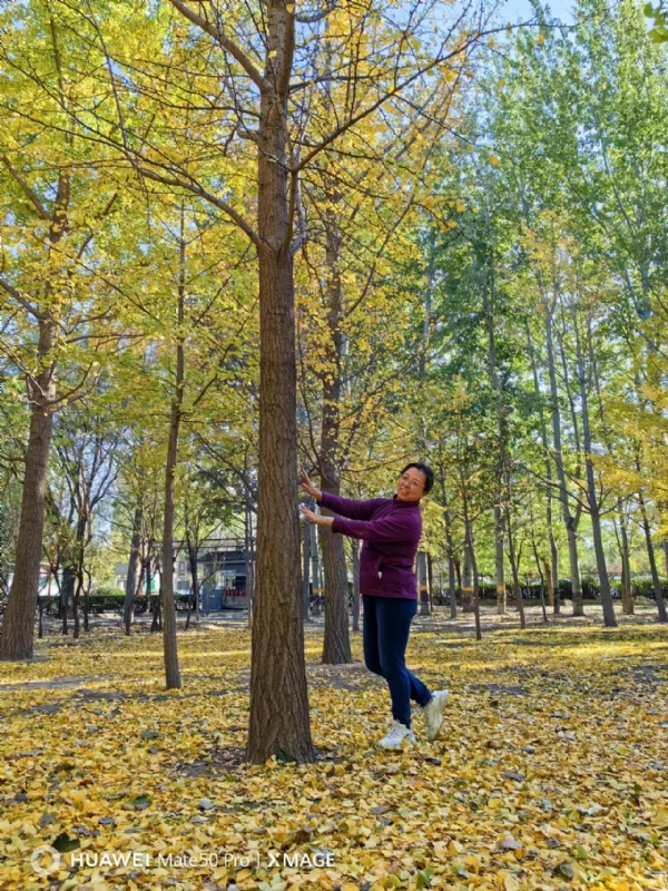 Shirley的第四张照片--南阳相亲服务中心