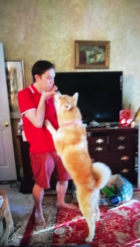 Leluch的第一张照片--南阳相亲服务中心