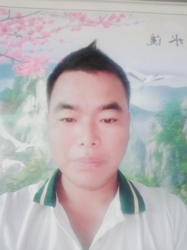 阳光男孩的第二张照片--南阳相亲服务中心