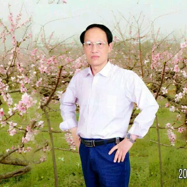 枫叶的第一张照片--南阳相亲服务中心