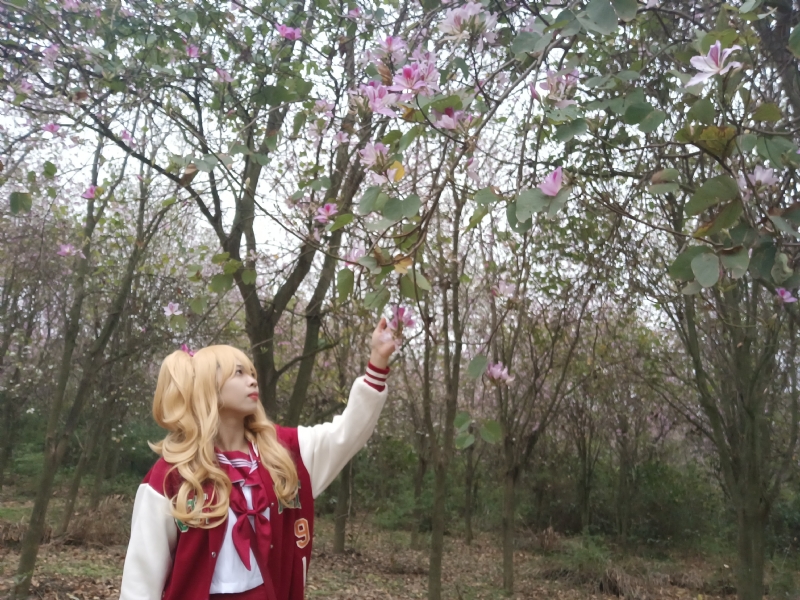 暮秋的第一张照片--南阳相亲服务中心