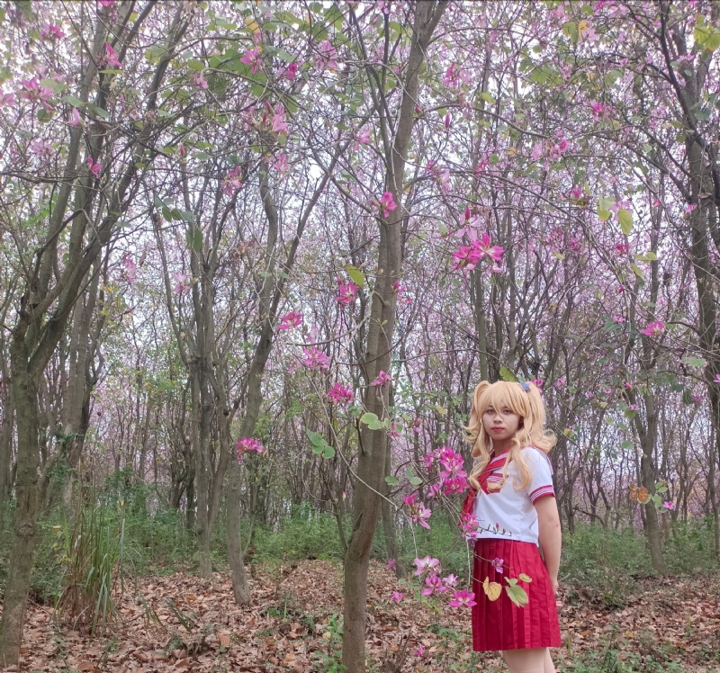 暮秋的第四张照片--南阳相亲服务中心