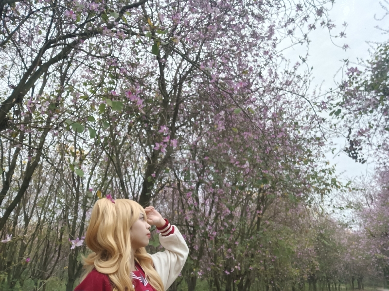 暮秋的第五张照片--南阳相亲服务中心