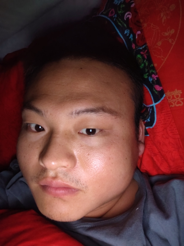 大黄的第一张照片--南阳相亲服务中心